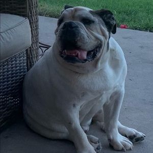 Meet your Posher, Jeanne